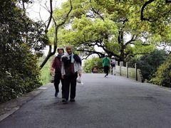 -苏堤停车场
