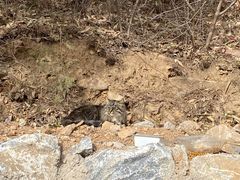 -北京西山国家森林公园