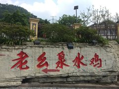 -老幺泉水鸡