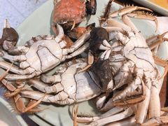 -全盛自助烤肉(大商新玛特鞍山店)