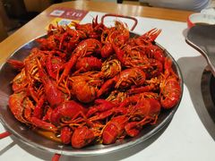 -海岛八号龙虾烧烤田鸡(蓝天路总店)
