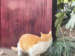 -狼山风景名胜区