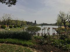 -上海鲜花港