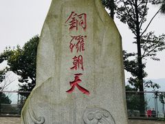 -铁山坪森林公园