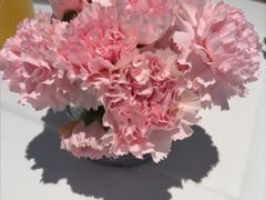 -大董(环贸iapm店)