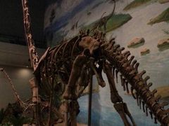 iphone_upload_pic-自贡恐龙博物馆