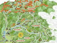 -天女山森林公园