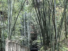 -沐川竹海旅游景区