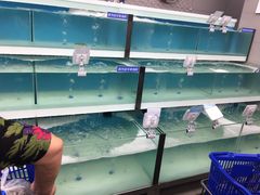 -盒马鲜生(大成店)