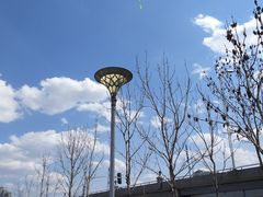 -群力丁香公园