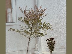 -Cafe on warm(丹霞店)