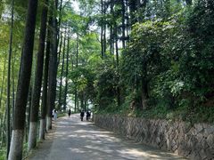-莫干山风景区