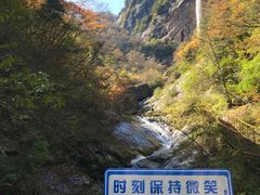 -青峰峡国家森林公园