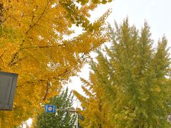 -西北农林科技大学(北校区)