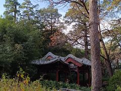 -香山公园