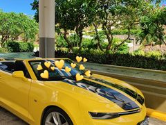-丽姐租车