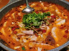 -龙梅肥肠鱼(明瓦廊店)