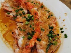 樱花虾-新悦·霞浦海鲜生(上下杭店)