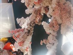 -三月居酒屋(青年大街店)