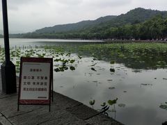 -多特儿童专注力·感统训练·注意力提升培训(锦峰训练中心)