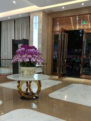 -广州曙光医学美容医院
