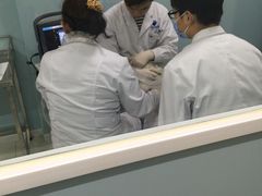 -中农大我爱我爱24h动物医院·中医针灸·猫专科·骨科医疗中心(双井店)