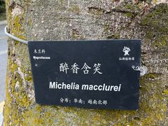 -深圳仙湖植物园