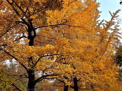 -国家植物园南园