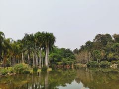 -中国科学院西双版纳热带植物园