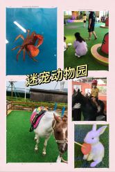 -欢乐舟·舟舟玩乐园