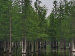 -白鹭湾湿地公园