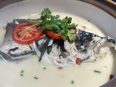 -全乐鱼馆·淳牌有机鱼直营店