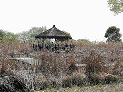 -梁鸿国家湿地公园