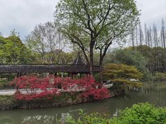 -上海醉白池公园