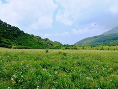 -白草畔自然风景区