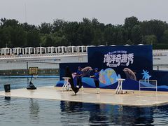 -秦皇岛乐岛海洋王国