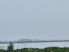 -七的湖·晚芳亭·阳澄湖农家菜·大闸蟹(莲花岛店)