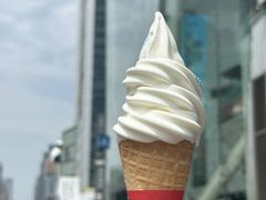 -溪边姑娘·拉丝酸奶水果捞(春熙路店)
