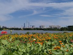 -海珠湖公园