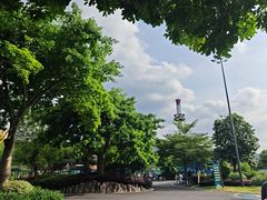 -佛冈森波拉度假区