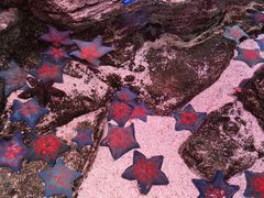 -沈阳海洋探索中心