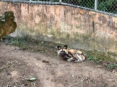 -宁波野生动物园