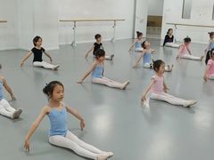 -西安小天鹅艺术团(金花路校区)