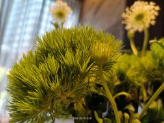 -南堂館川菜文化餐厅(天府店)