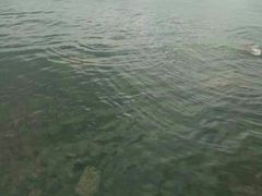 -青岛市李沧剧院