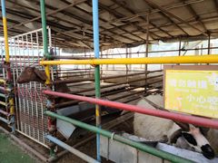 -南宫五洲植物乐园