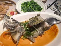 -客家汇·客家传承菜(水库店)