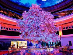 -永利澳门酒店