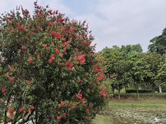 -东莞植物园