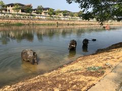 -杭州双溪漂流景区